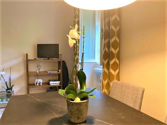 Duchi Di Castro Chic Apartamento